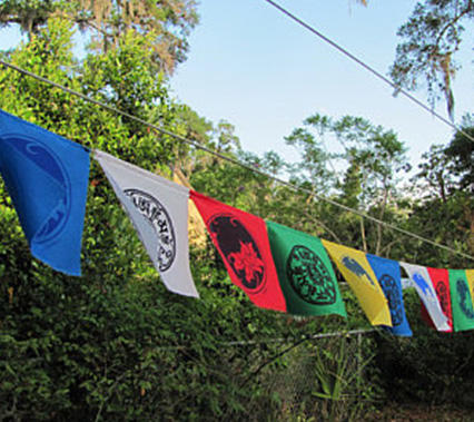 Unveiling the World of Possibilities: Exploring Digital Printing Materials